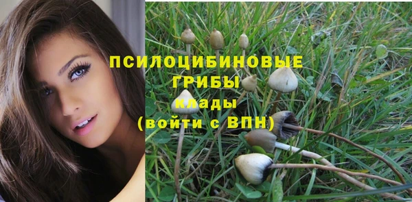ПСИЛОЦИБИНОВЫЕ ГРИБЫ Алзамай