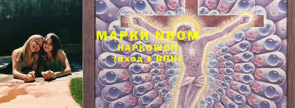 ПСИЛОЦИБИНОВЫЕ ГРИБЫ Алзамай