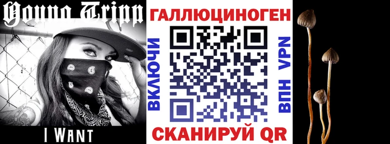 закладки  Уварово  Галлюциногенные грибы Psilocybe 